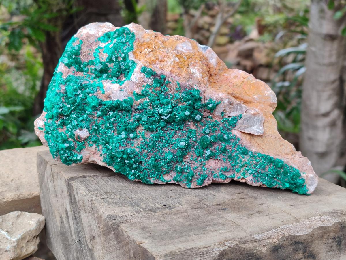 Natural XL Dioptase On Dolomite Specimen x 1 From Likasi, Congo
