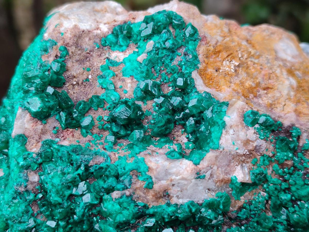 Natural XL Dioptase On Dolomite Specimen x 1 From Likasi, Congo