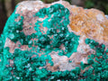 Natural XL Dioptase On Dolomite Specimen x 1 From Likasi, Congo