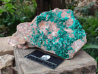 Natural XL Dioptase On Dolomite Specimen x 1 From Likasi, Congo