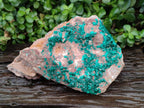 Natural XL Dioptase On Dolomite Specimen x 1 From Likasi, Congo