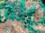 Natural XL Dioptase On Dolomite Specimen x 1 From Likasi, Congo