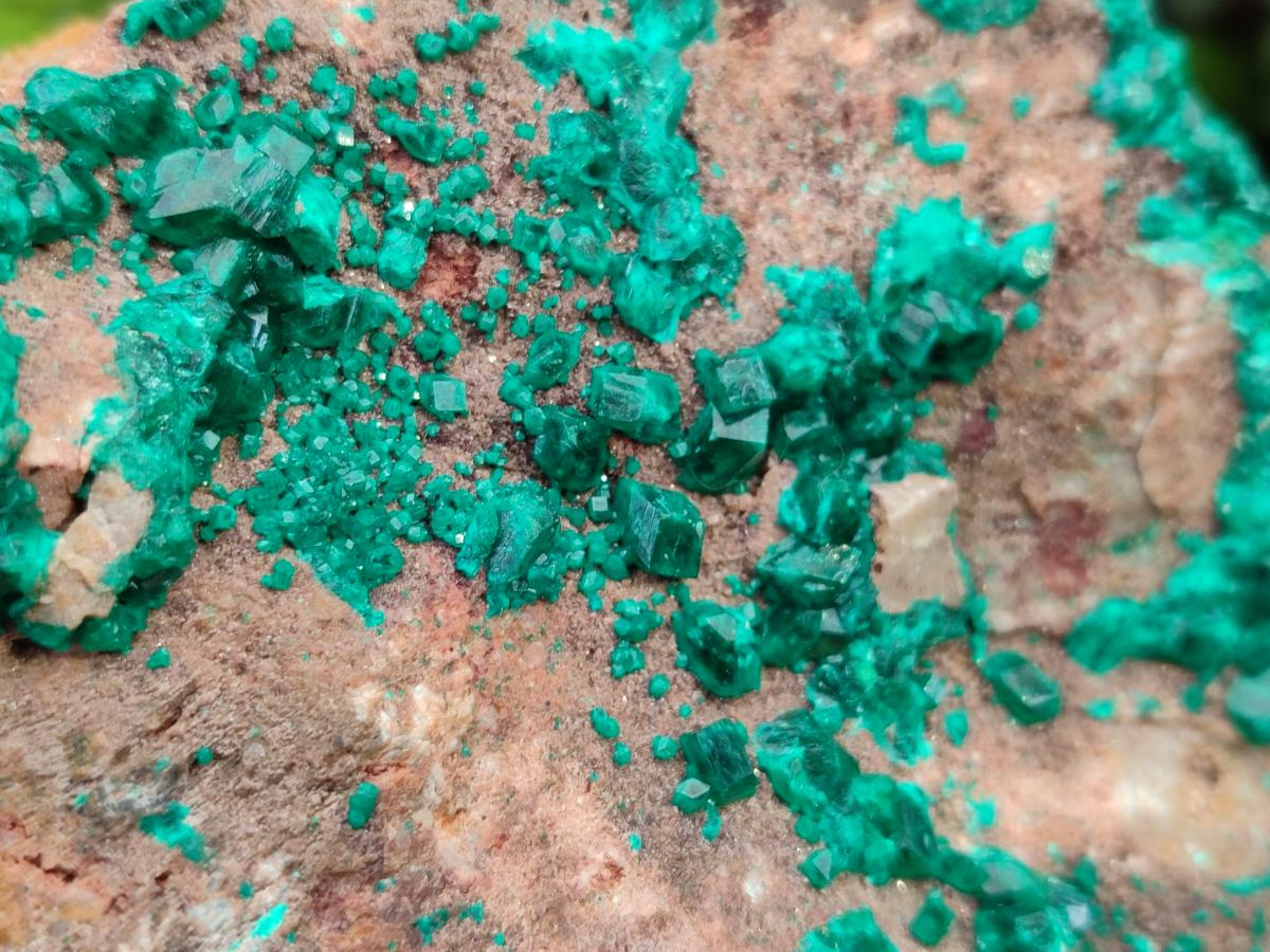 Natural XL Dioptase On Dolomite Specimen x 1 From Likasi, Congo
