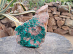 Natural XL Dioptase On Dolomite Specimen x 1 From Likasi, Congo