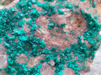 Natural XL Dioptase On Dolomite Specimen x 1 From Likasi, Congo