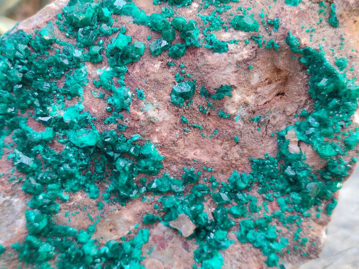Natural XL Dioptase On Dolomite Specimen x 1 From Likasi, Congo