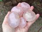 Polished Rose Quartz Palm Stones x 12 From Madagascar