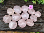 Polished Rose Quartz Palm Stones x 12 From Madagascar