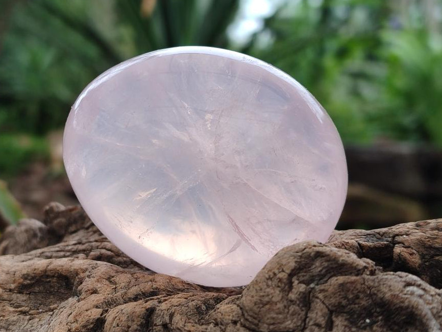 Polished Rose Quartz Palm Stones x 12 From Madagascar