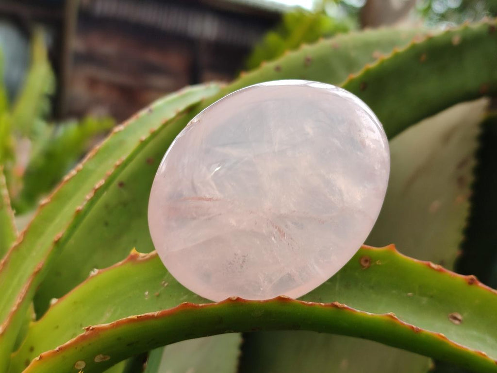 Polished Rose Quartz Palm Stones x 12 From Madagascar