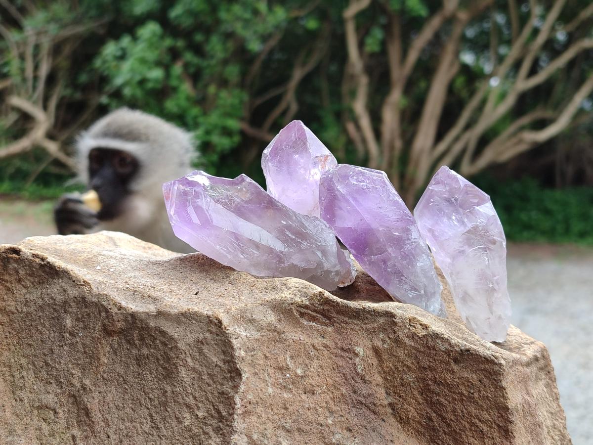 Natural Jacaranda Amethyst Single Crystals x 35 From Mumbwa, Zambia