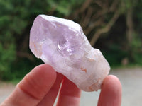 Natural Jacaranda Amethyst Single Crystals x 35 From Mumbwa, Zambia