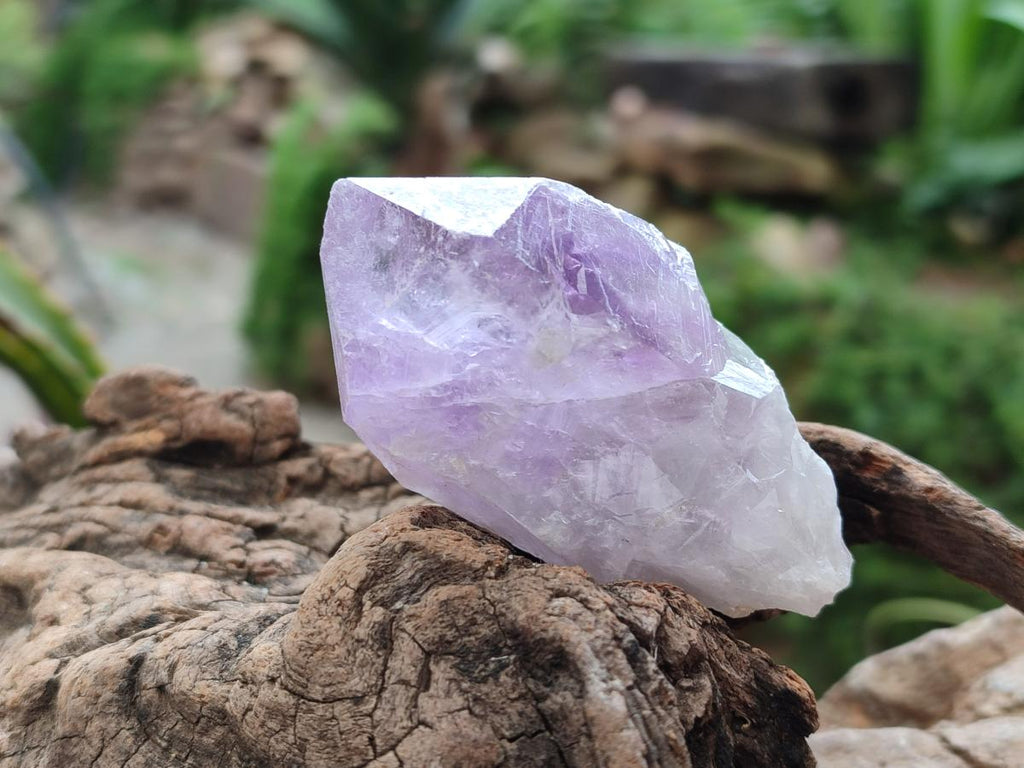 Natural Jacaranda Amethyst Single Crystals x 35 From Mumbwa, Zambia