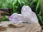 Natural Jacaranda Amethyst Single Crystals x 35 From Mumbwa, Zambia