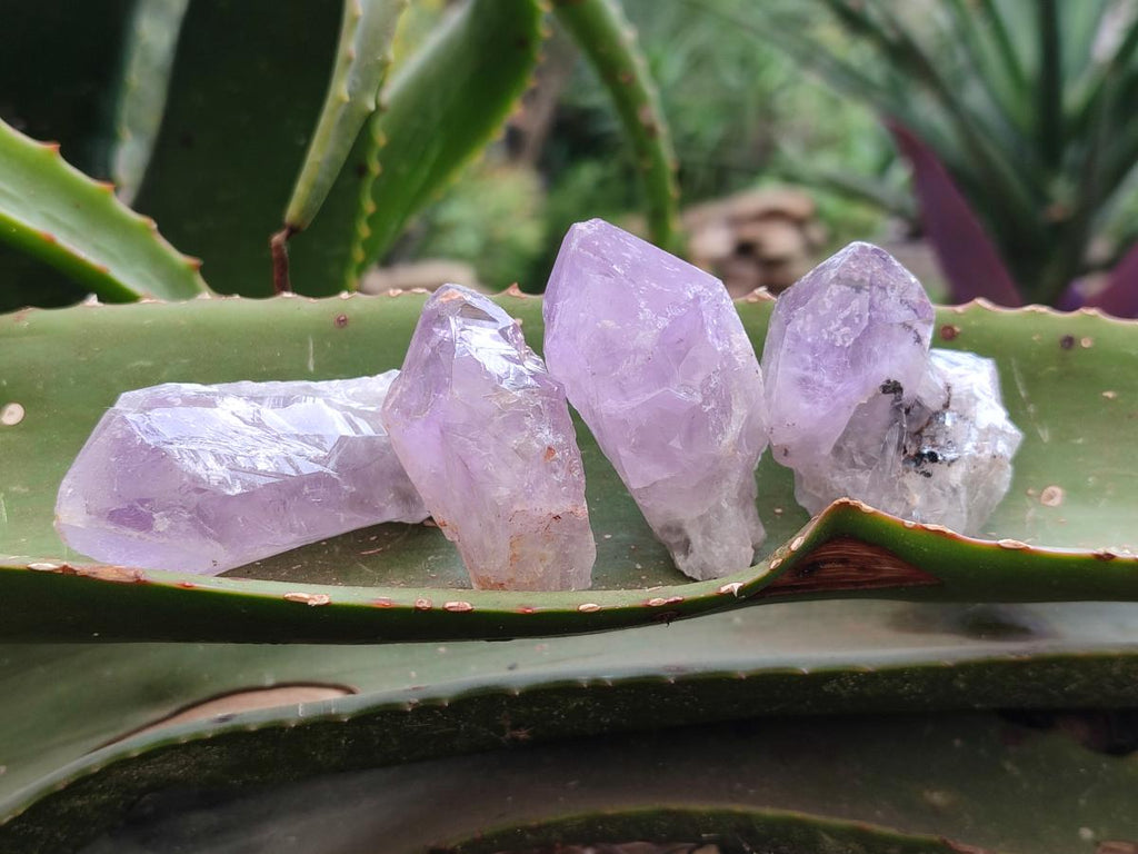 Natural Jacaranda Amethyst Single Crystals x 35 From Mumbwa, Zambia