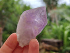 Natural Jacaranda Amethyst Single Crystals x 35 From Mumbwa, Zambia