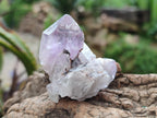 Natural Jacaranda Amethyst Single Crystals x 35 From Mumbwa, Zambia