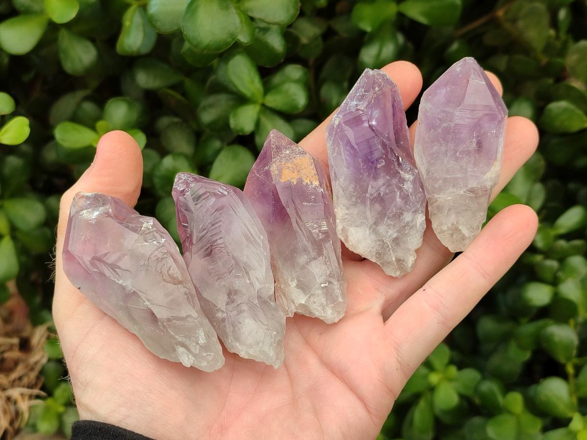 Natural Jacaranda Amethyst Single Crystals x 35 From Mumbwa, Zambia