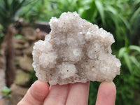 Natural Drusy Snow Finger Quartz Coated Clusters x 6 From Albert's Mountain, Lesotho