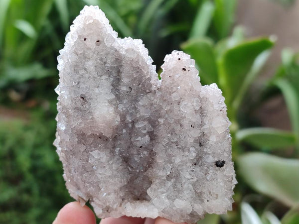 Natural Drusy Snow Finger Quartz Coated Clusters x 6 From Albert's Mountain, Lesotho