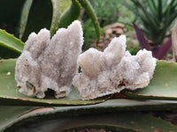 Natural Drusy Snow Finger Quartz Coated Clusters x 6 From Albert's Mountain, Lesotho