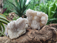 Natural Drusy Snow Finger Quartz Coated Clusters x 6 From Albert's Mountain, Lesotho