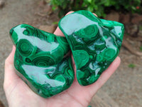 Polished Flower Banded Malachite Free Forms x 4 From Congo