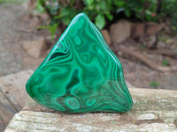 Polished Flower Banded Malachite Free Forms x 4 From Congo