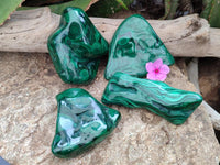Polished Flower Banded Malachite Free Forms x 4 From Congo