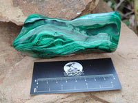 Polished Flower Banded Malachite Free Forms x 4 From Congo