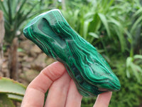 Polished Flower Banded Malachite Free Forms x 4 From Congo