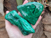 Polished Flower Banded Malachite Free Forms x 4 From Congo