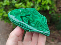 Polished Flower Banded Malachite Free Forms x 4 From Congo