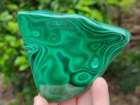 Polished Flower Banded Malachite Free Forms x 4 From Congo