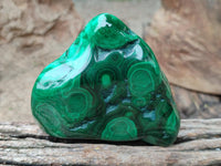 Polished Flower Banded Malachite Free Forms x 4 From Congo