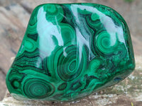 Polished Flower Banded Malachite Free Forms x 4 From Congo