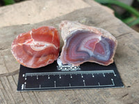 Polished On One Side Red Shashe River Agate Nodules x 35 From Shashe River, Zimbabwe