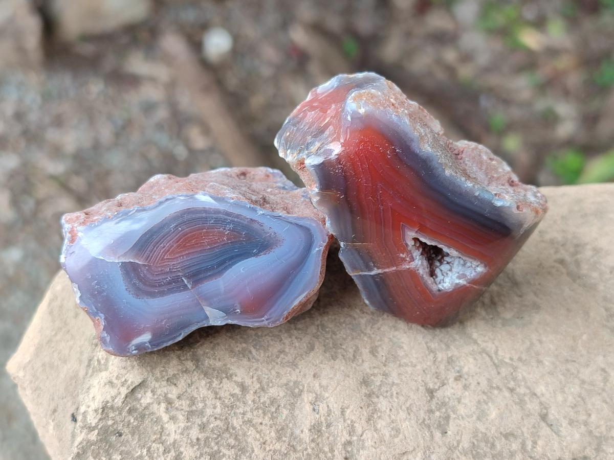Polished On One Side Red Shashe River Agate Nodules x 35 From Shashe River, Zimbabwe