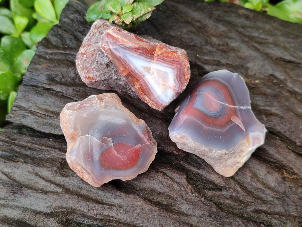 Polished On One Side Red Shashe River Agate Nodules x 35 From Shashe River, Zimbabwe
