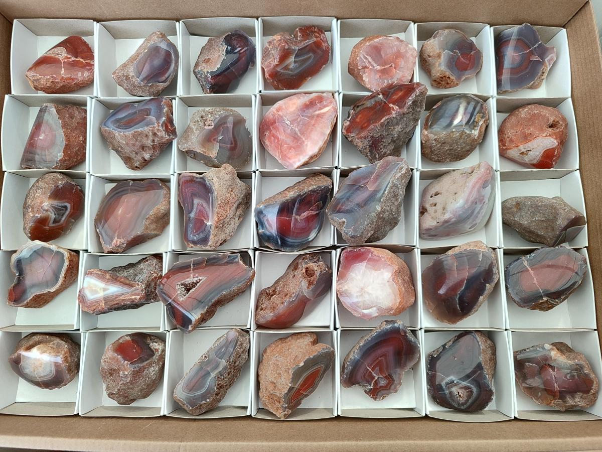 Polished On One Side Red Shashe River Agate Nodules x 35 From Shashe River, Zimbabwe