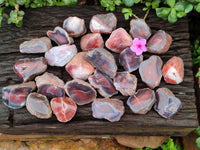 Polished On One Side Red Shashe River Agate Nodules x 35 From Shashe River, Zimbabwe