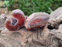 Polished On One Side Red Shashe River Agate Nodules x 35 From Shashe River, Zimbabwe