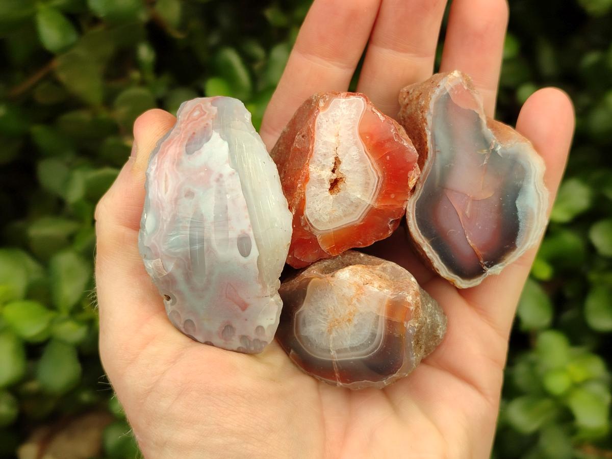 Polished On One Side Red Shashe River Agate Nodules x 35 From Shashe River, Zimbabwe
