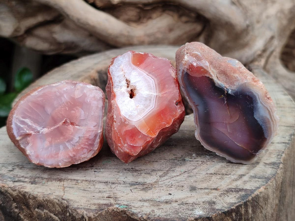 Polished On One Side Red Shashe River Agate Nodules x 35 From Shashe River, Zimbabwe