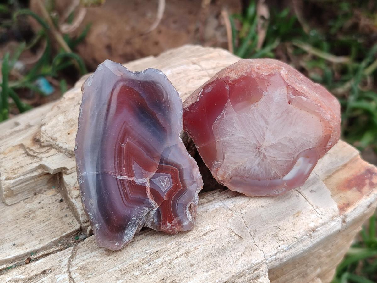 Polished On One Side Red Shashe River Agate Nodules x 35 From Shashe River, Zimbabwe