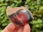 Polished On One Side Red Shashe River Agate Nodules x 35 From Shashe River, Zimbabwe