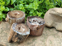 Polished On One Side Petrified Wood Branches x 3 From Gokwe, Zimbabwe