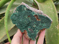 Natural Crystalline Malachite Specimens x 3 From Tenke Fungurume, Congo