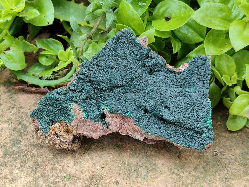 Natural Crystalline Malachite Specimens x 3 From Tenke Fungurume, Congo