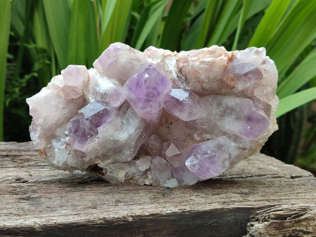 Natural Jacaranda Amethyst Crystal Clusters x 2 From Mumbwa, Zambia